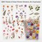 Assorted 486 Pieces Pressed Flower Themed Stickers (36 Sheets) Dried Floral Resin Stickers Decals Botanical Journaling Sticker for Scrapbook Supplies Junk Journal Bullet Journal Planner Laptop